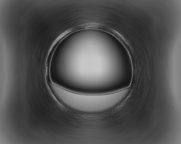X0000086761418200704130804