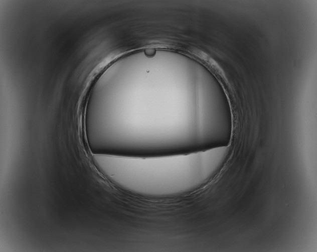 X0000086761419200704130804