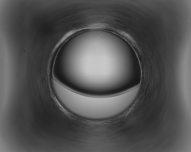 X0000086761422200704130804