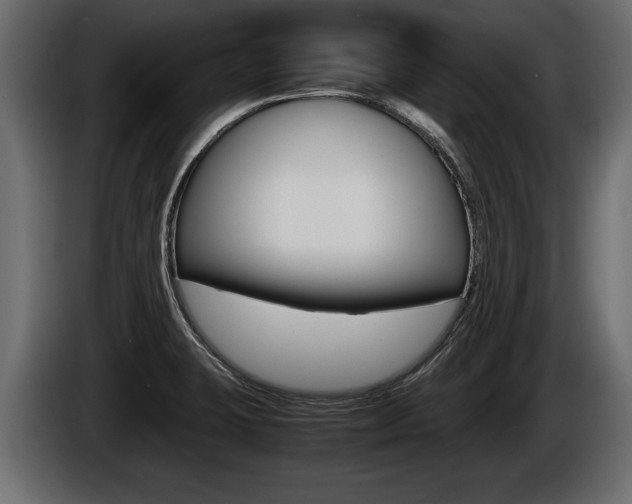 X0000086761423200704130804