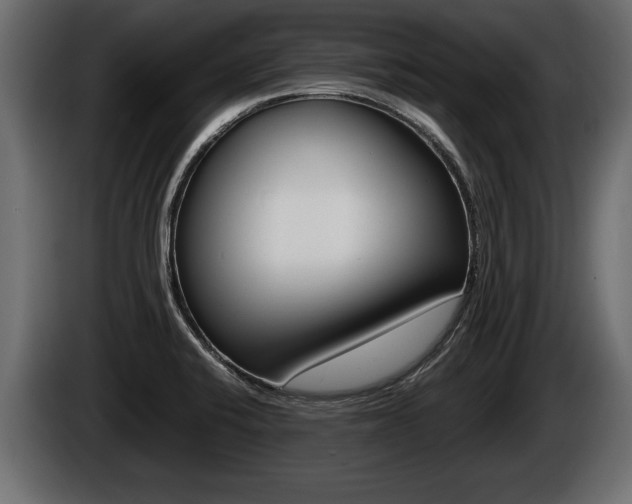 X0000086761424200704130804