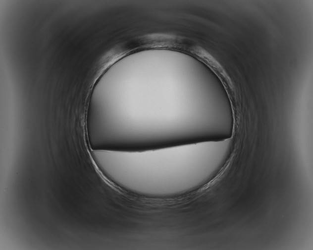 X0000086761425200704130804