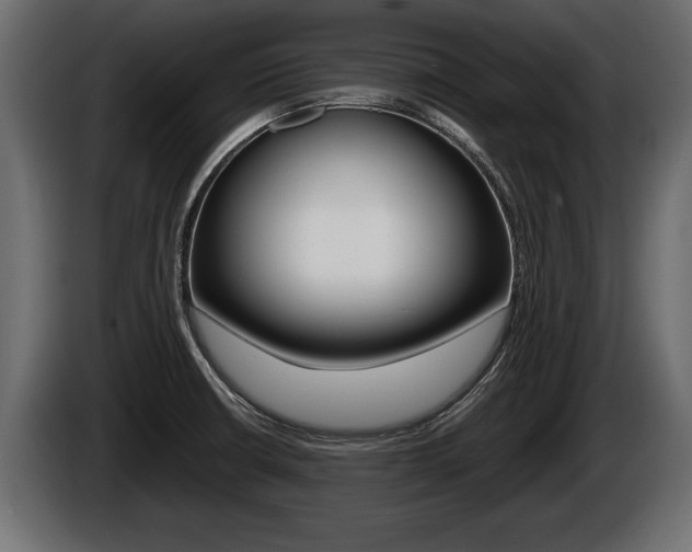 X0000086761426200704130804