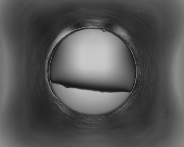 X0000086761427200704130804