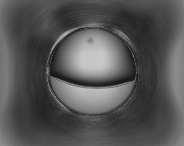 X0000086761428200704130804