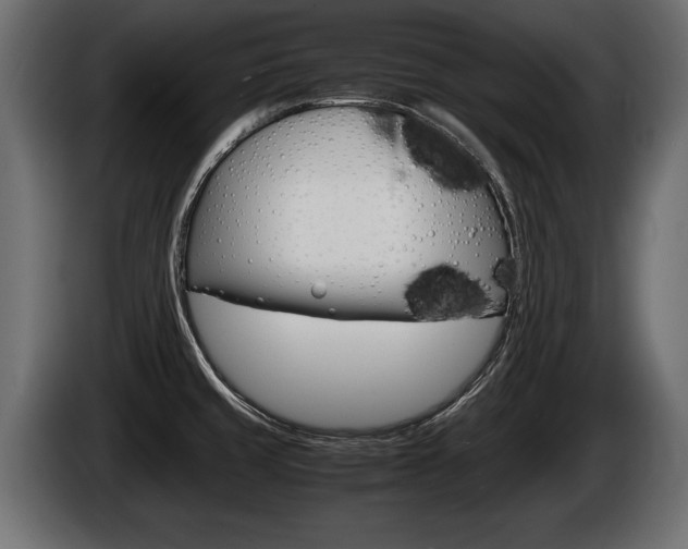 X0000086761429200704130804