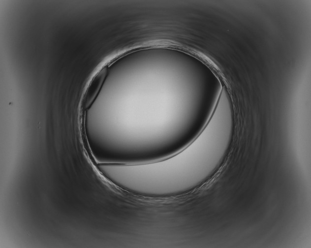 X0000086761430200704130804