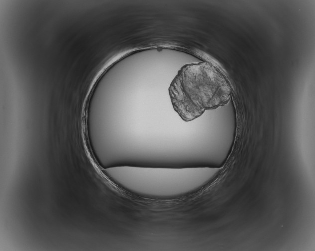 X0000086761431200704130804