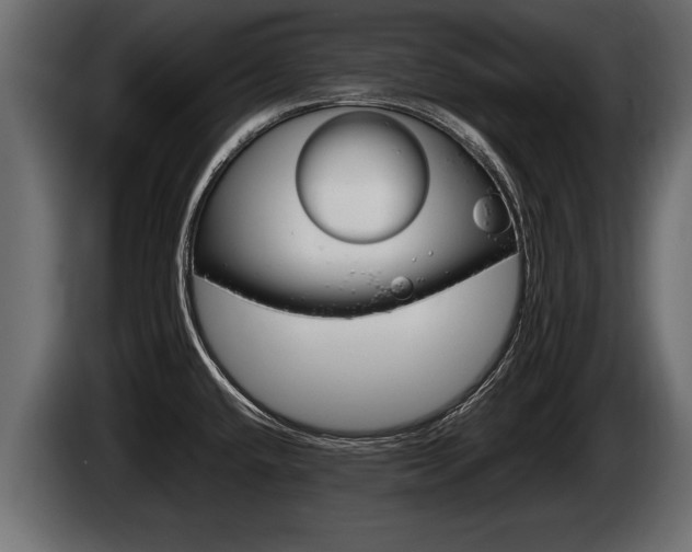X0000086761432200704130804