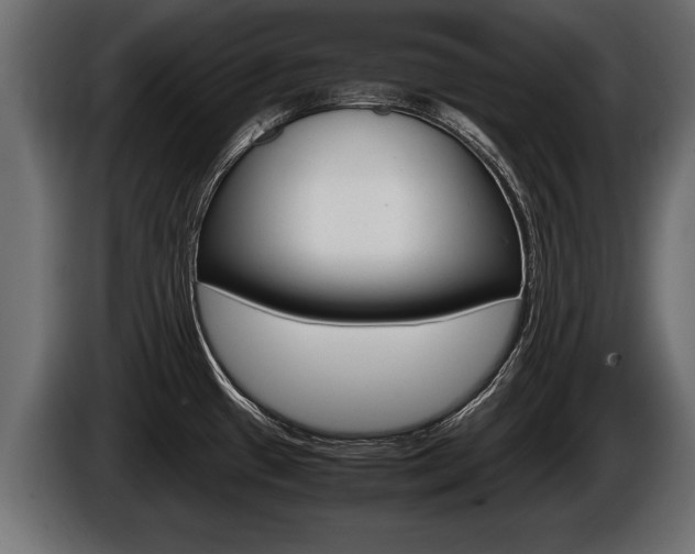 X0000086761433200704130804