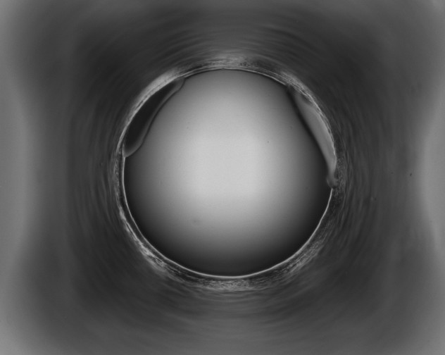 X0000086761434200704130804