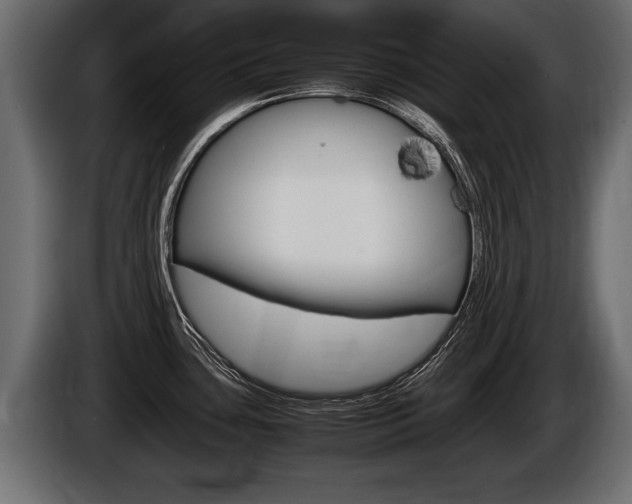X0000086761435200704130804