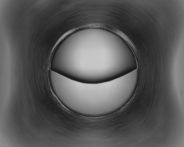 X0000086761436200704130804