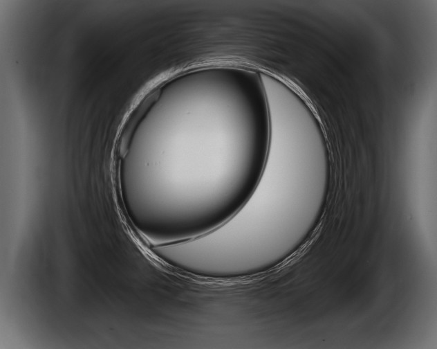 X0000086761438200704130804