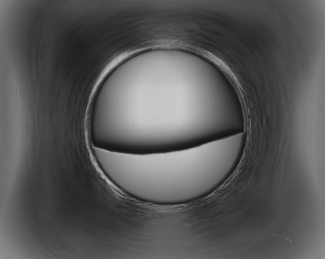 X0000086761440200704130805