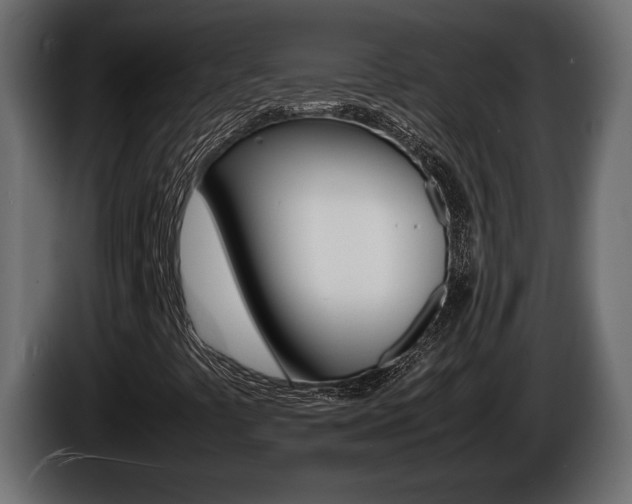 X0000086761441200704130804