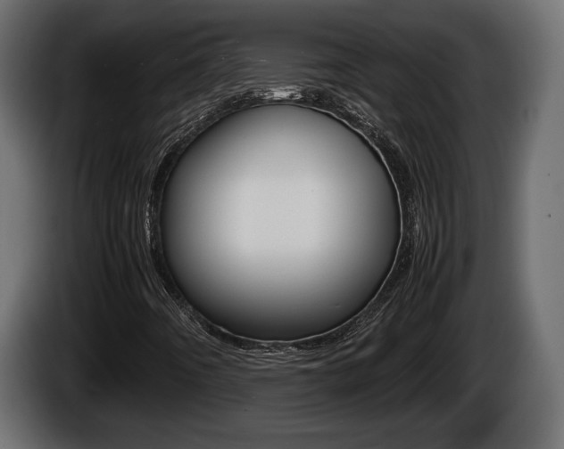 X0000086761442200704130804
