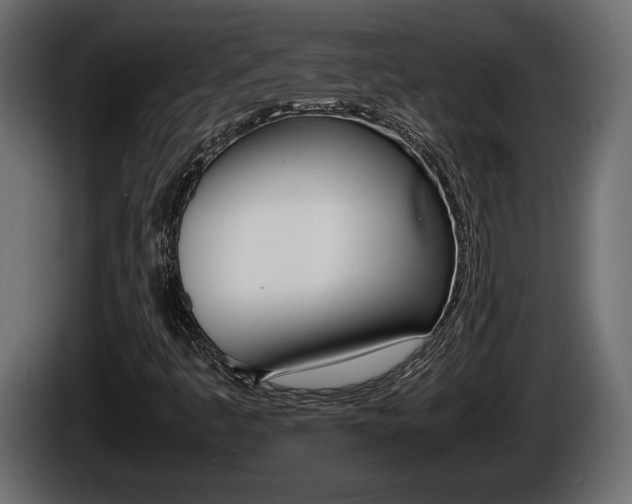 X0000086761445200704130804
