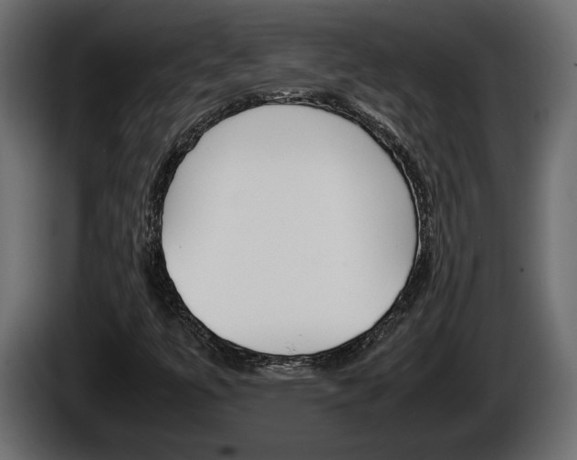 X0000086761447200704130804