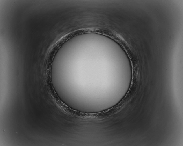 X0000086761448200704130804