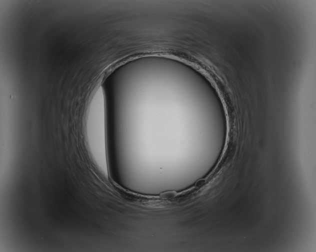 X0000086761449200704130804