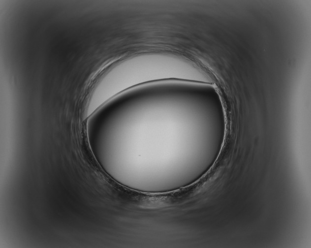X0000086761453200704130804