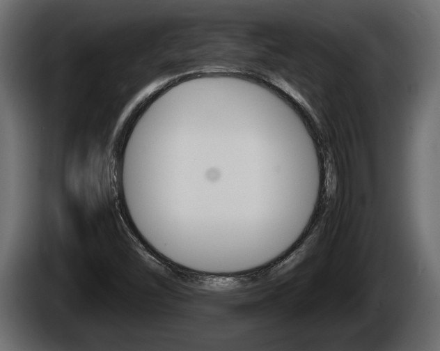 X0000086761454200704130804