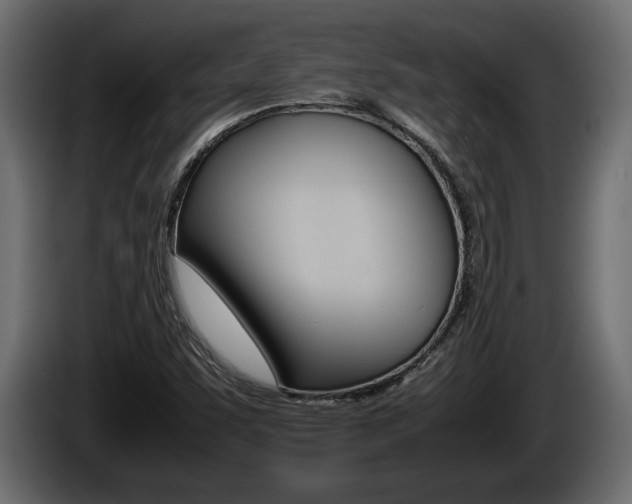 X0000086761455200704130804