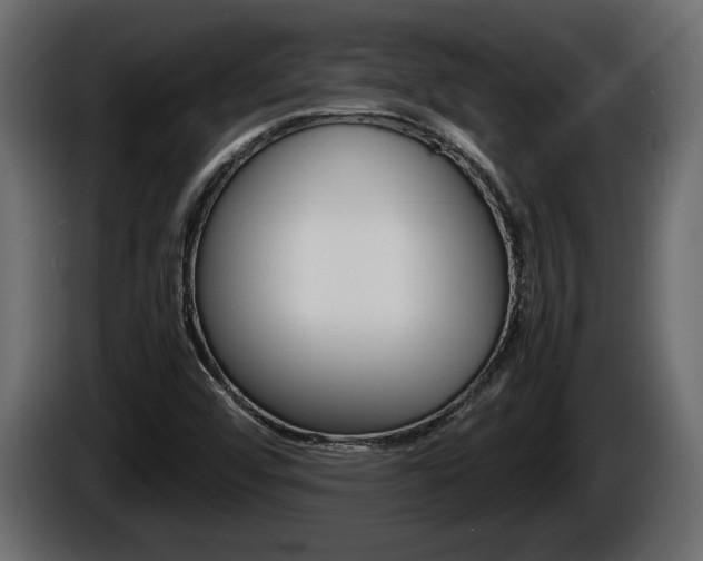 X0000086761456200704130804
