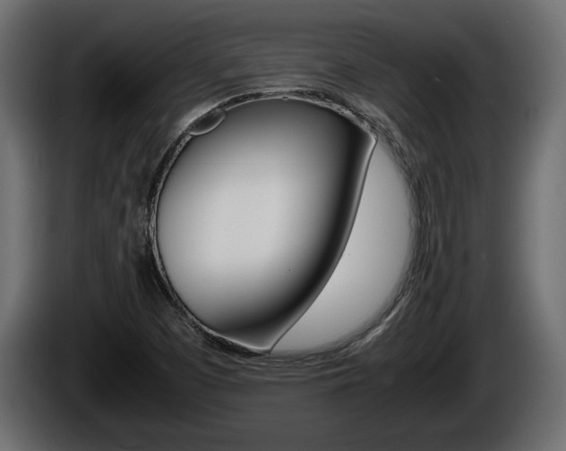 X0000086761457200704130804