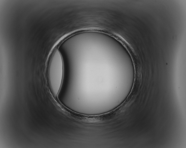 X0000086761460200704130804