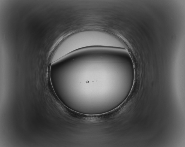 X0000086761461200704130804