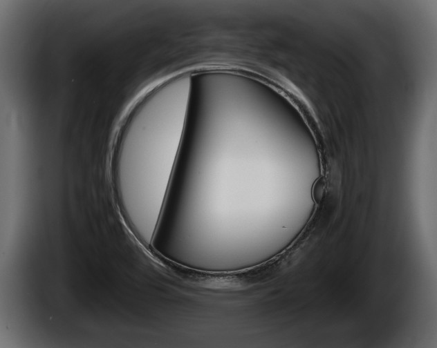 X0000086761464200704130803
