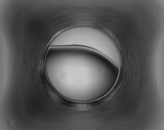 X0000086761465200704130803