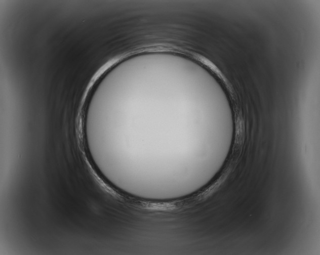 X0000086761466200704130803