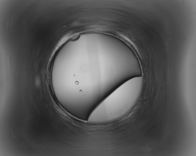 X0000086761467200704130803