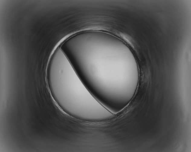 X0000086761468200704130803