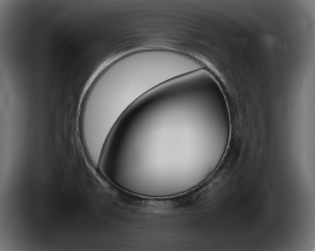 X0000086761469200704130803