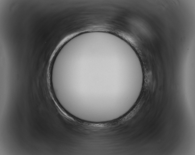 X0000086761470200704130803