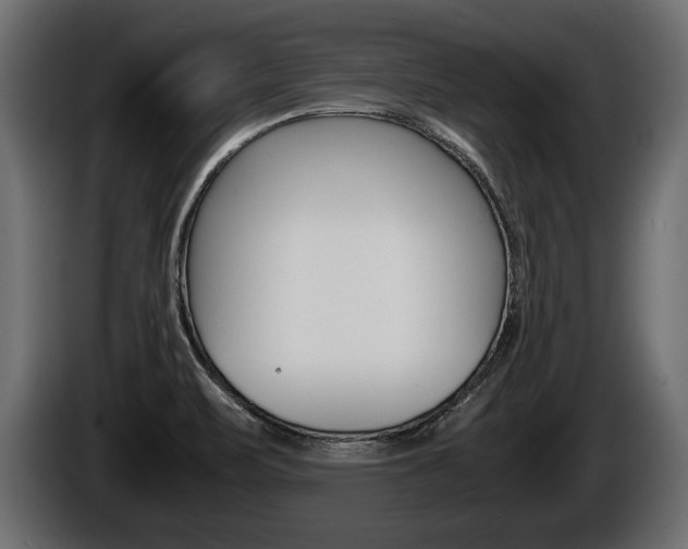 X0000086761471200704130803