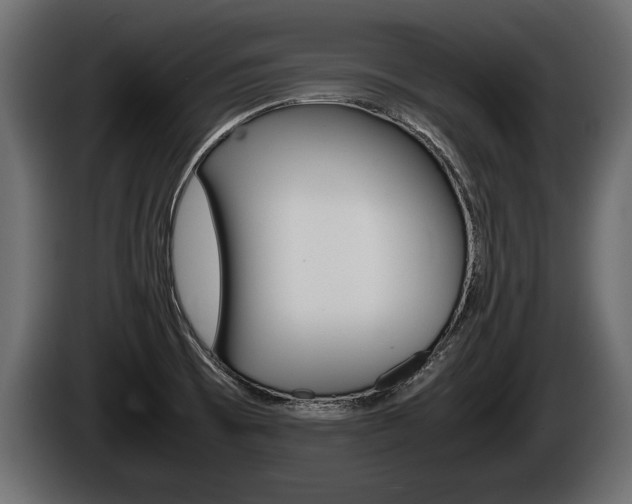X0000086761473200704130803