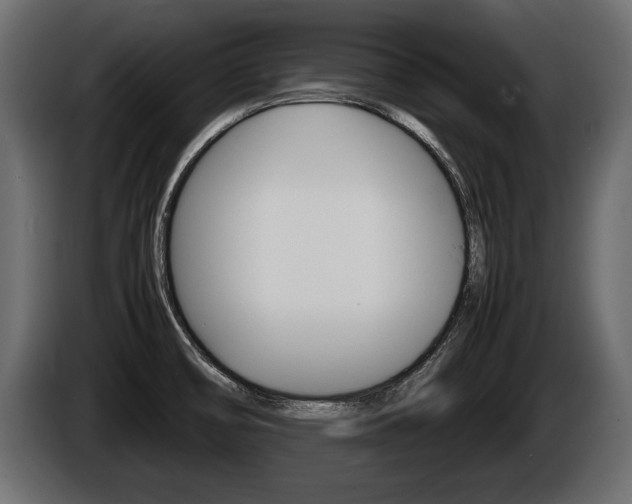 X0000086761474200704130803