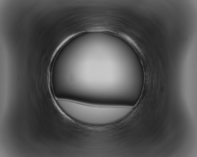 X0000086761476200704130803