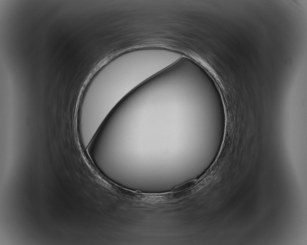 X0000086761477200704130803