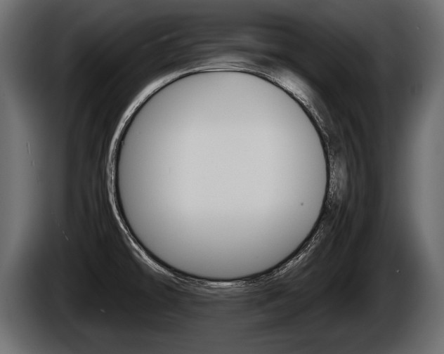 X0000086761478200704130803