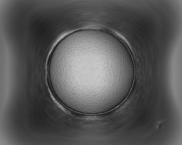 X0000086761479200704130803