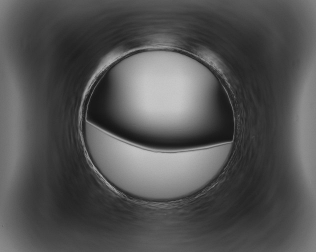 X0000086761480200704130803