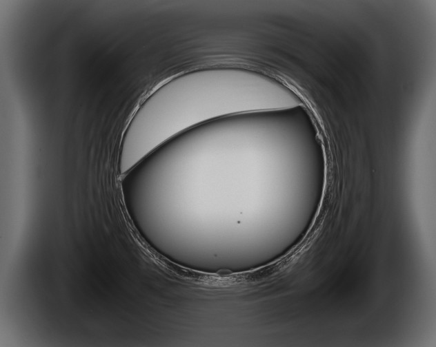 X0000086761481200704130803