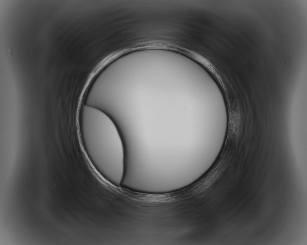 X0000086761482200704130803