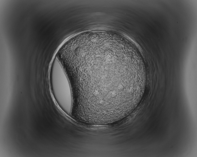X0000086761483200704130803